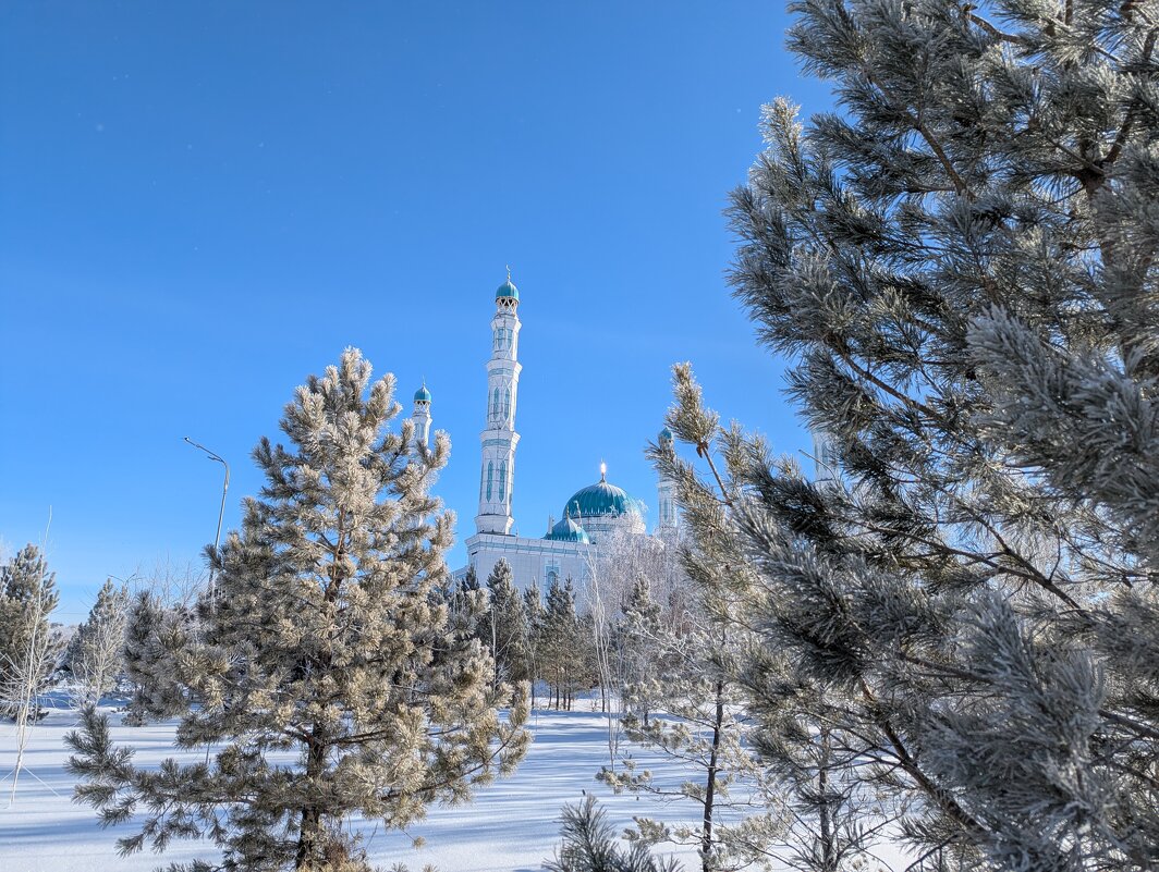Февральский солнечный денёк. - Андрей Хлопонин