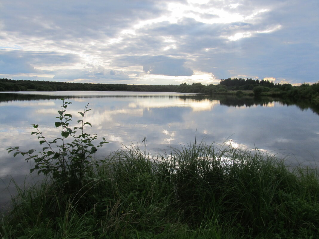 два крыла - Елена Шаламова