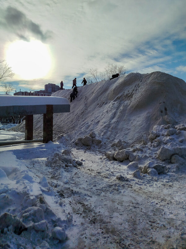 СНЕЖНЫЕ_ДЕТИ - Сергей Янович Микк
