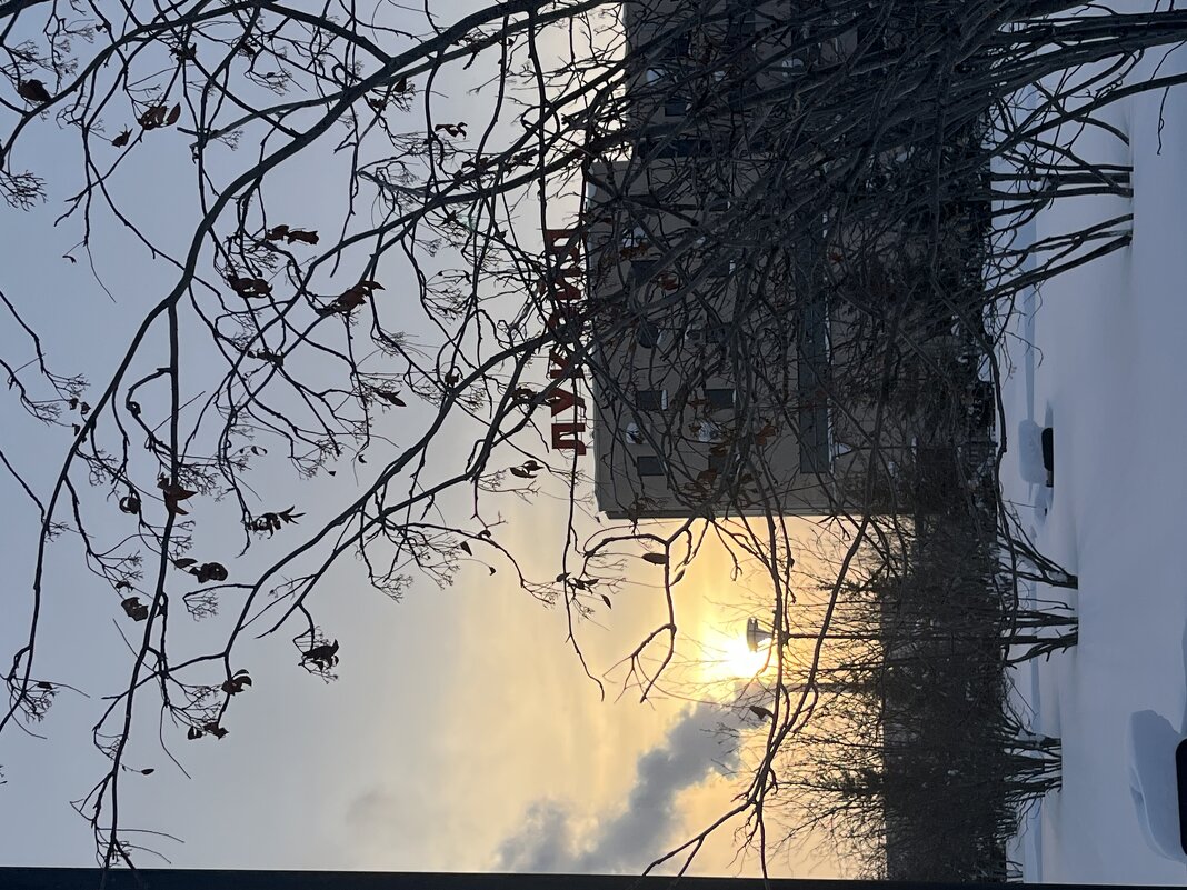 Когалым - Эльвира Белянская