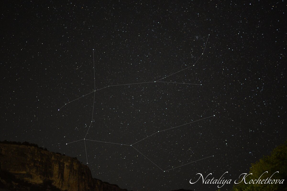 Природа Крыма - Amazing Cosmea