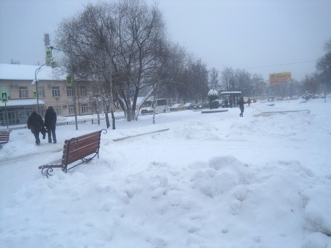 Снежной зимой - Елена Семигина