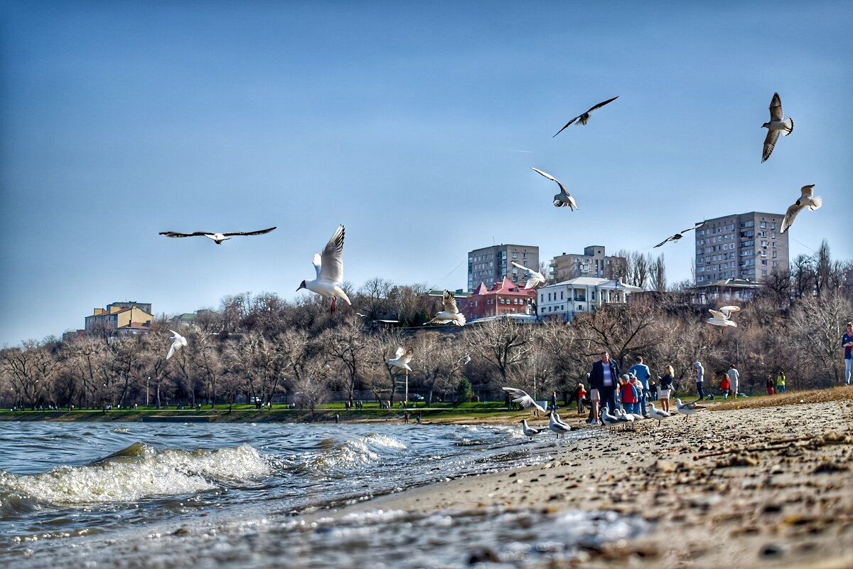 Таганрогский залив - Оксана Н.