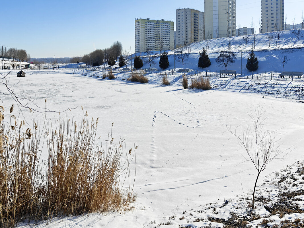 Ростовские зарисовки - Александр Гапоненко