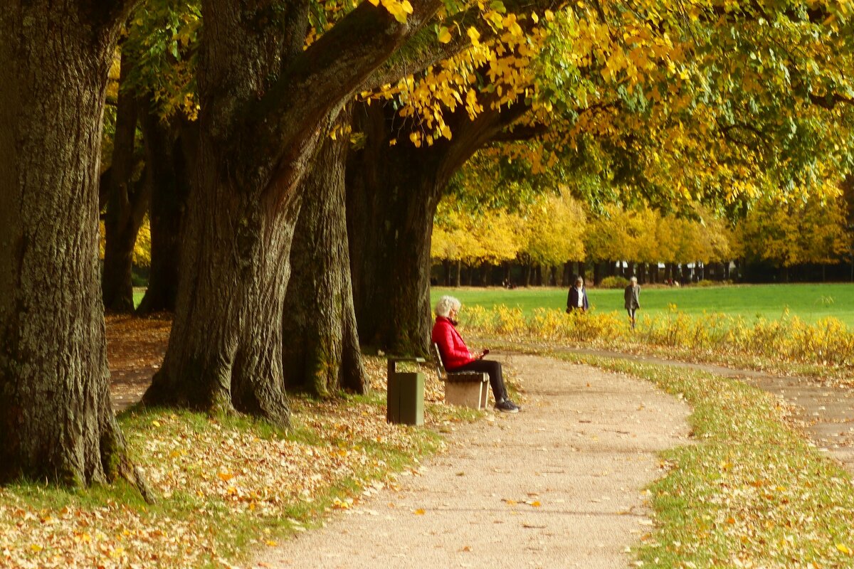 Под шумящей листвой - Юрий. Шмаков