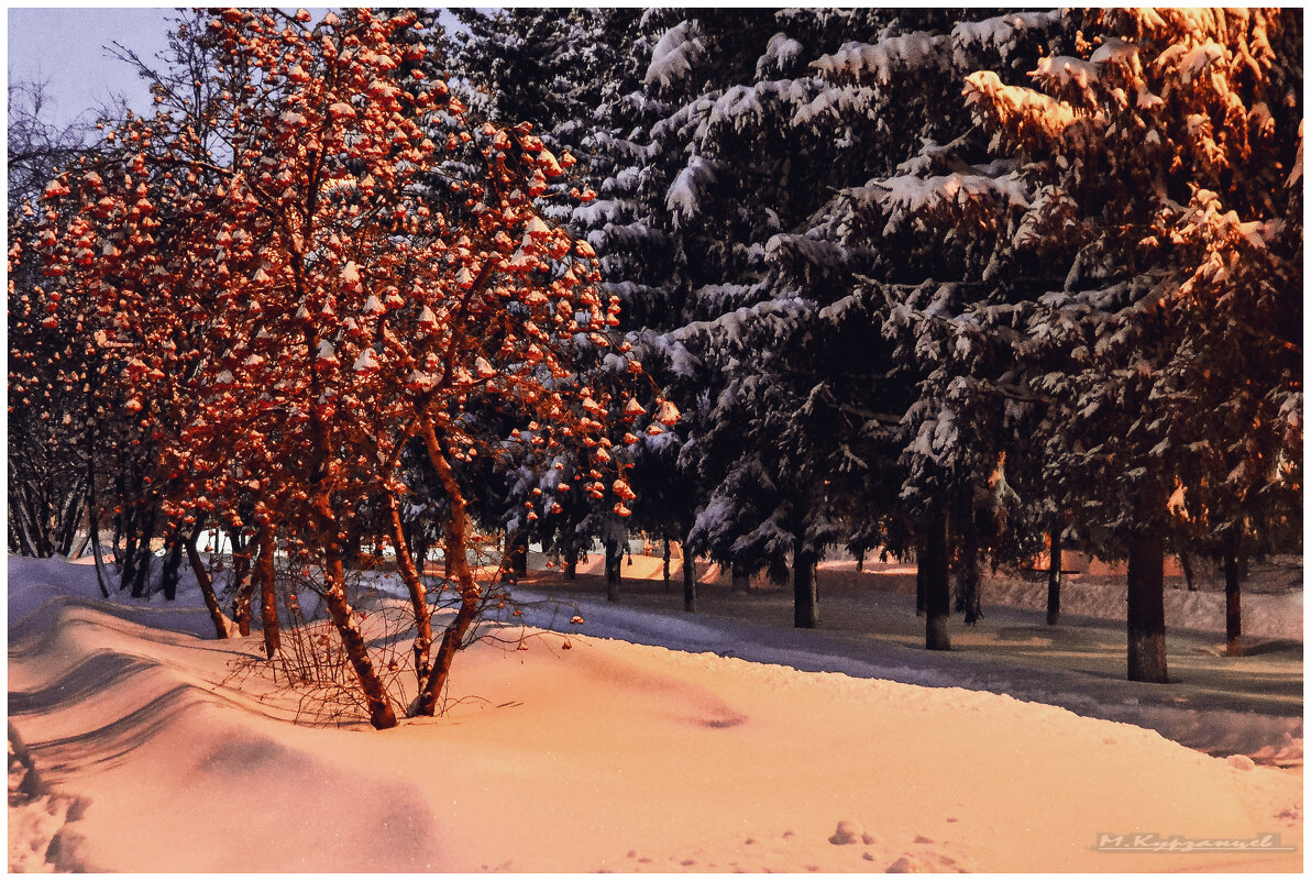 После снегопада. - Михаил. 