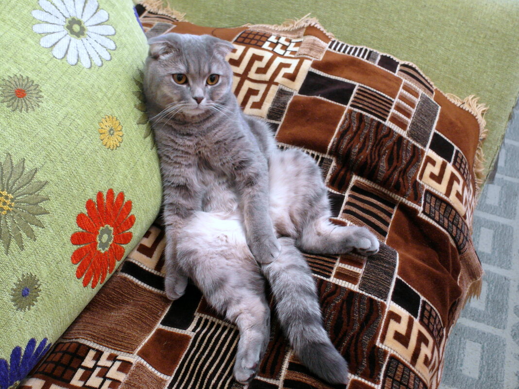 На отдыхе. - Alex 711402