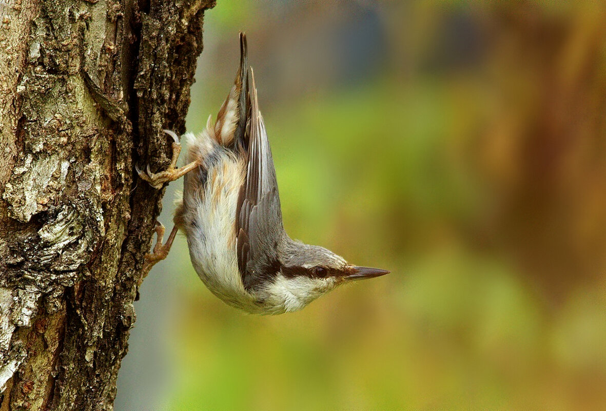 Уголок - Вячеслав Минаев