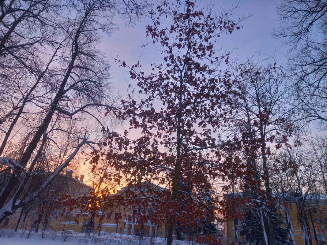 Рассвет - Сапсан 