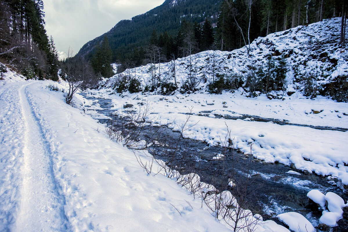 ** - Александр Липовецкий