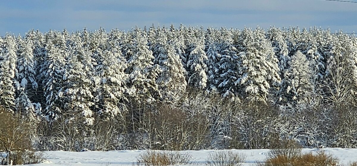 Заснежило - Михаил Свиденцов