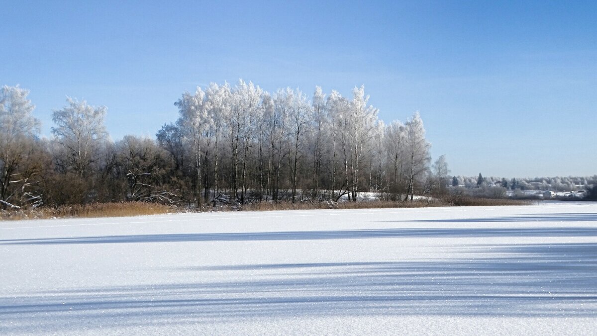 Холодное, февральское утро. - Милешкин Владимир Алексеевич 