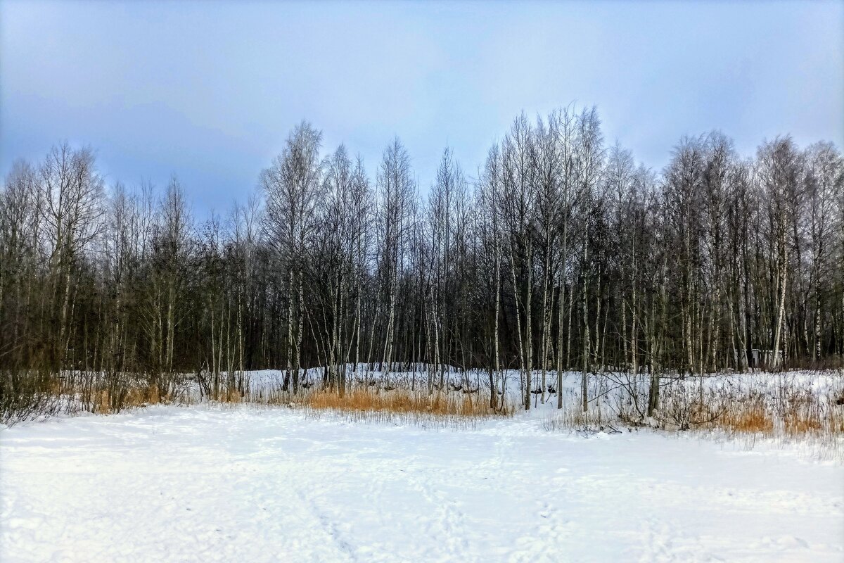 В парке - Veera V