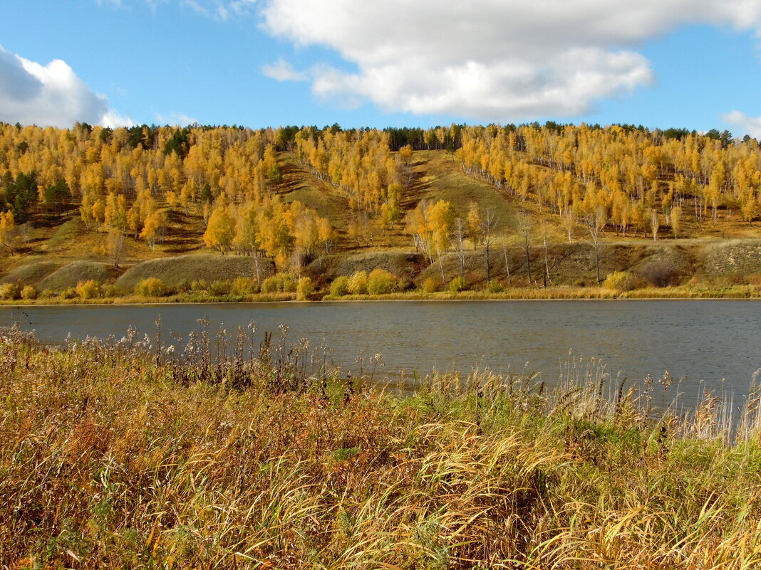 Красоты осени. - nadyasilyuk Вознюк