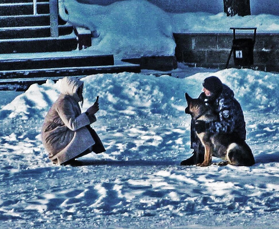 Сниму-ка вас на смартфон! - Владимир 