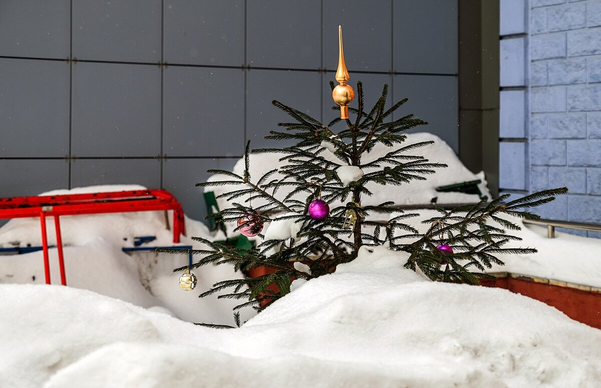 Засыпало ёлочку - Валерий Иванович