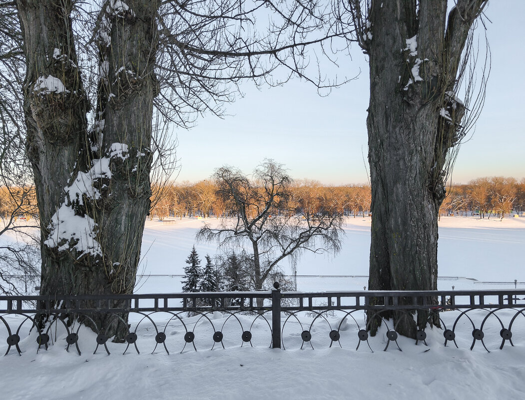 *** - Виктор Позняков