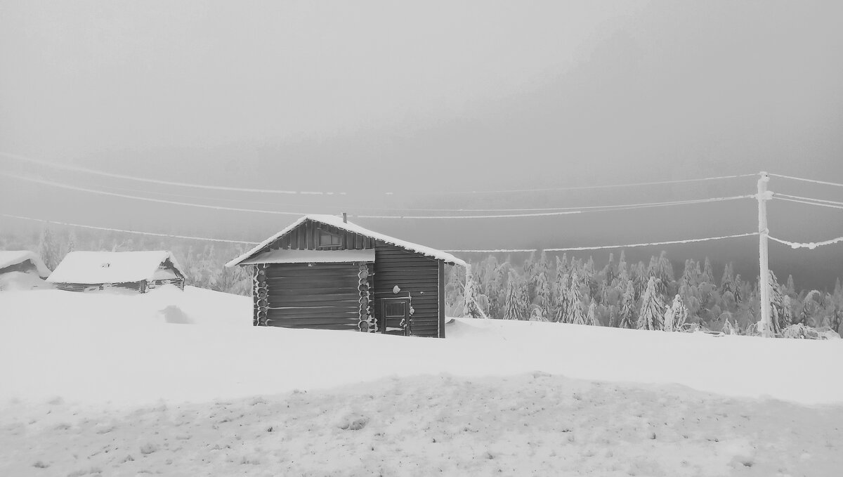 Холода - Лариса С.