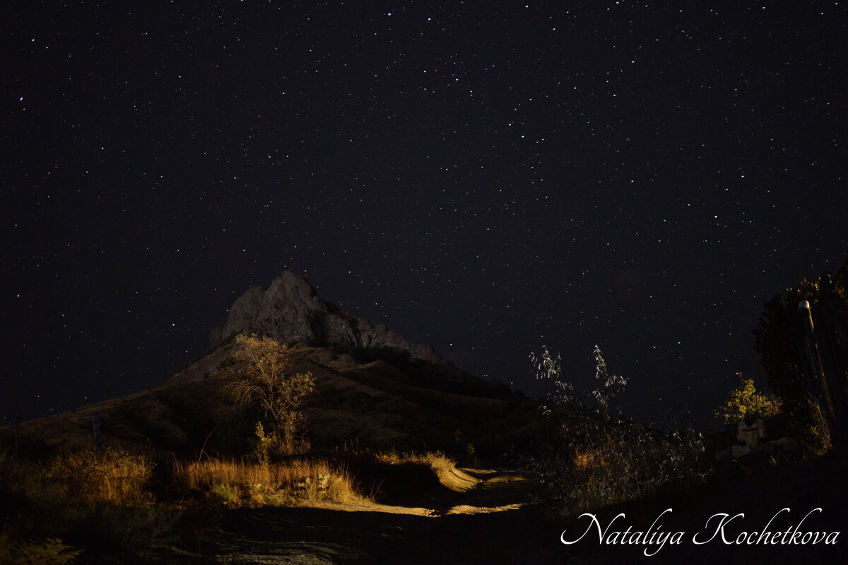 Природа Крыма - Amazing Cosmea