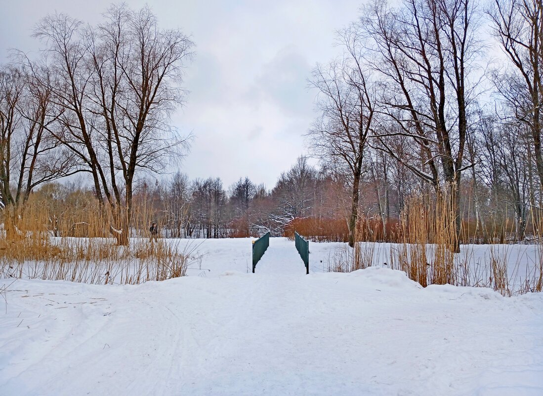 В феврале - Лия ☼