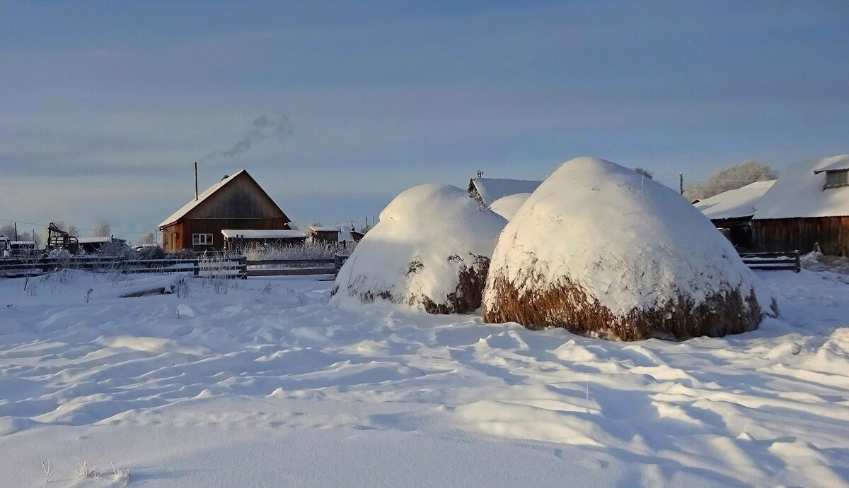 «Зимний антракт деревенской жизни» - Valentina K