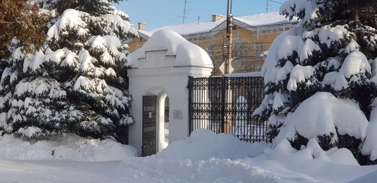 Февраль прибавил снега - Galina Solovova