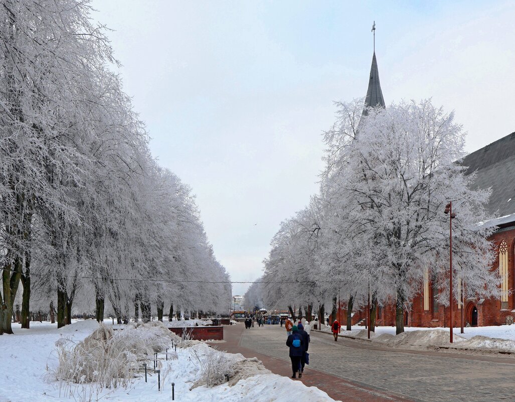 На Рождественскую ярмарку! - Сергей Карачин