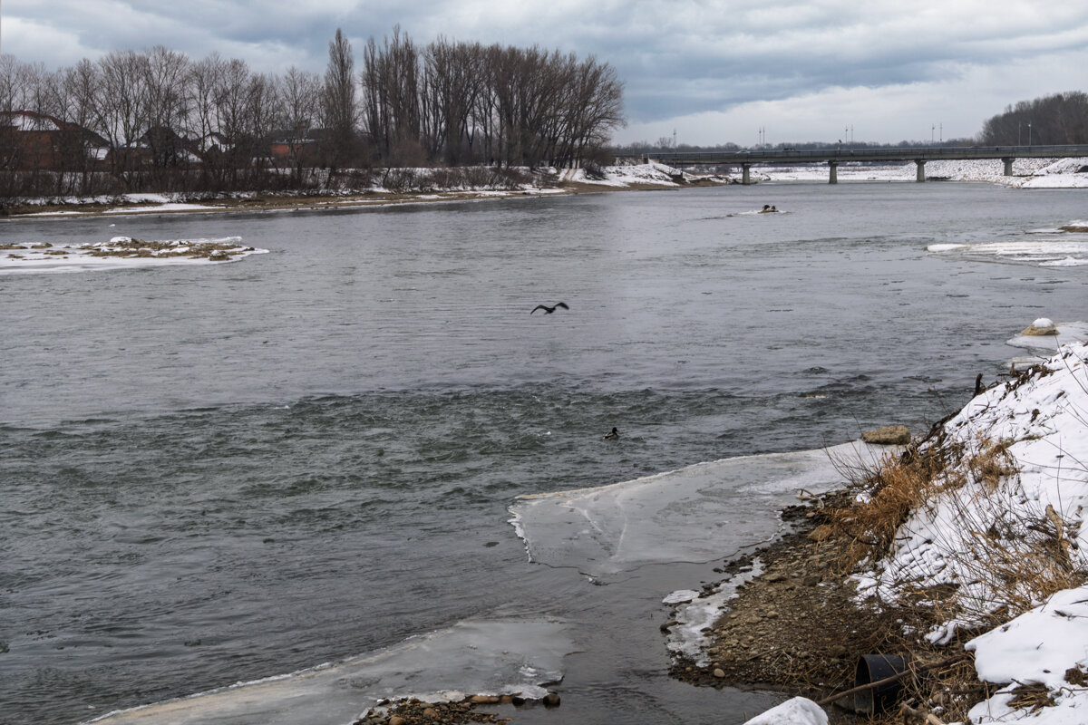 Река Кубань, январь 2026 - Игорь Сикорский