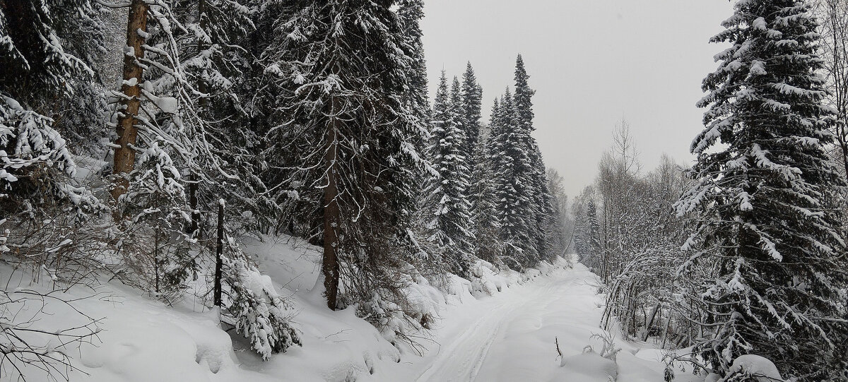 Путь - Радмир Арсеньев