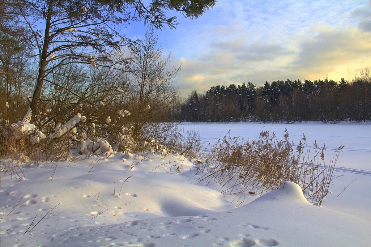 Февральский вечер - Вячеслав Минаев