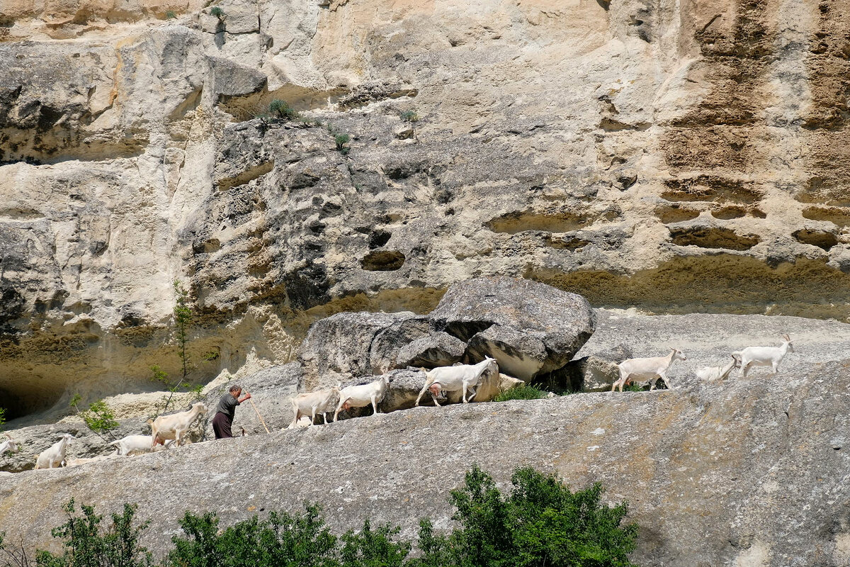 старый сюжет - Всеволод 