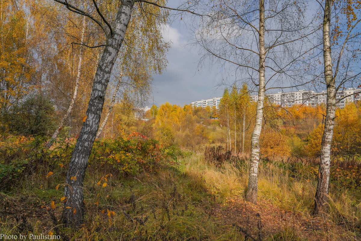 Палитра октября... - Владимир Жданов