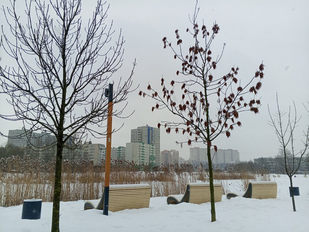 Зима - Сапсан 