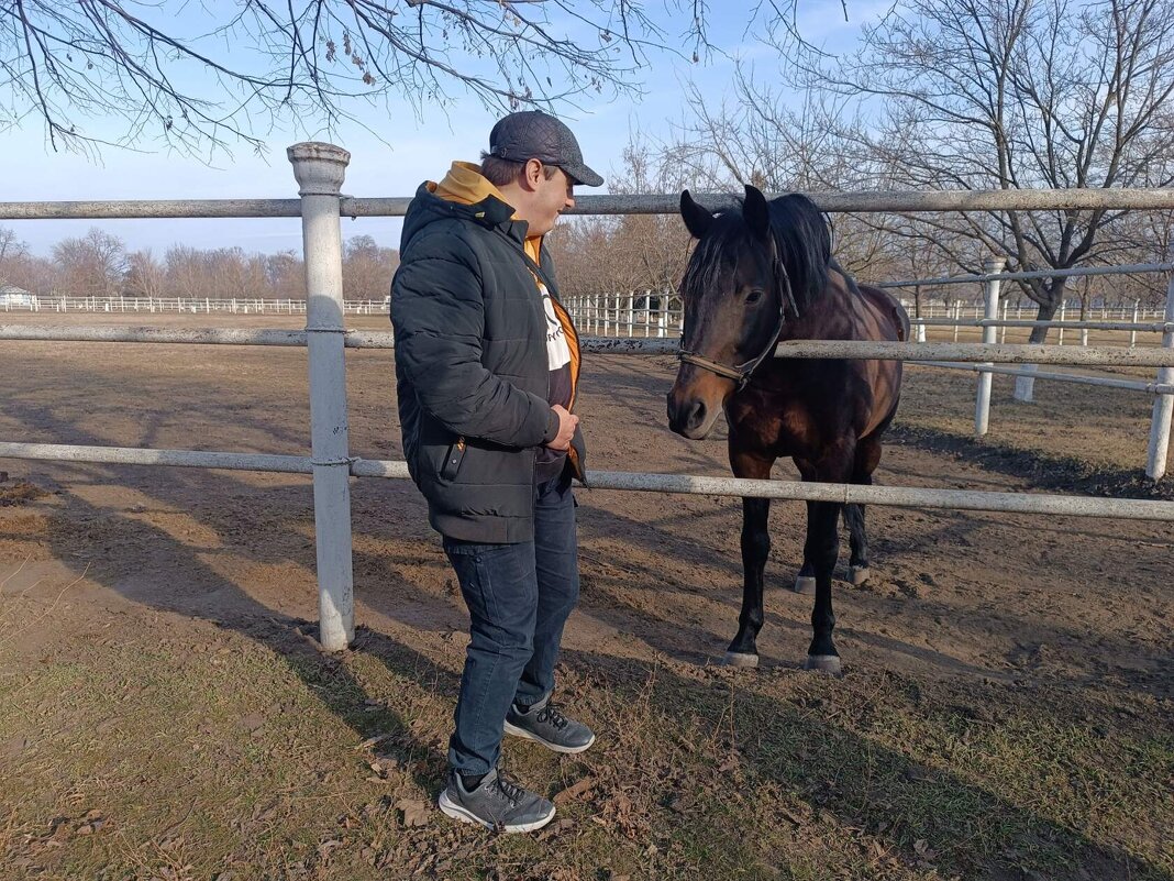 Я и лошадь  - Вячеслав Коломойцев Владимирович