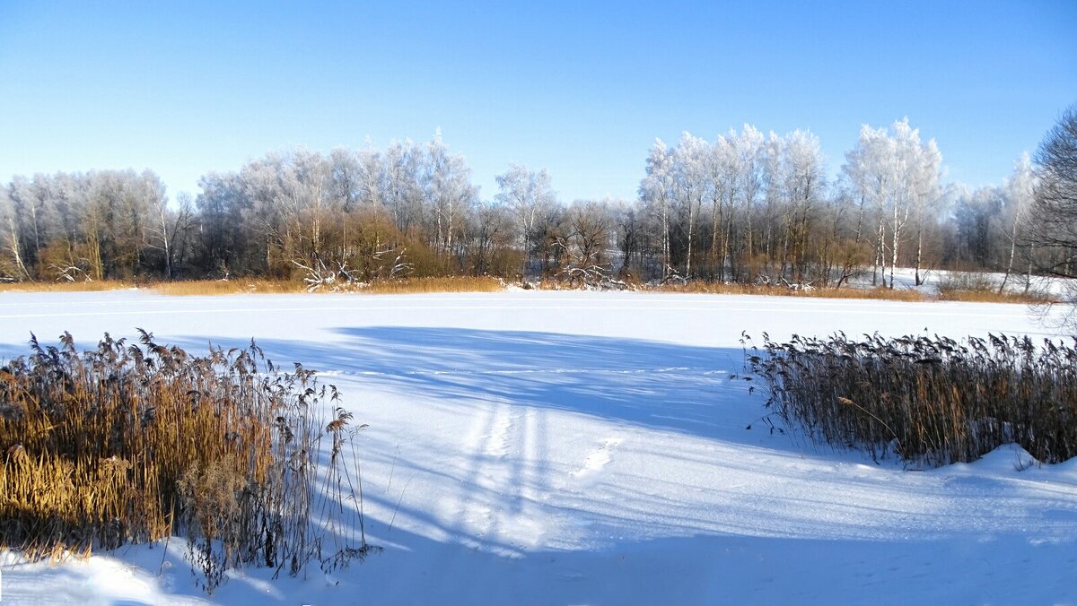 Озёра Смоленщины. - Милешкин Владимир Алексеевич 