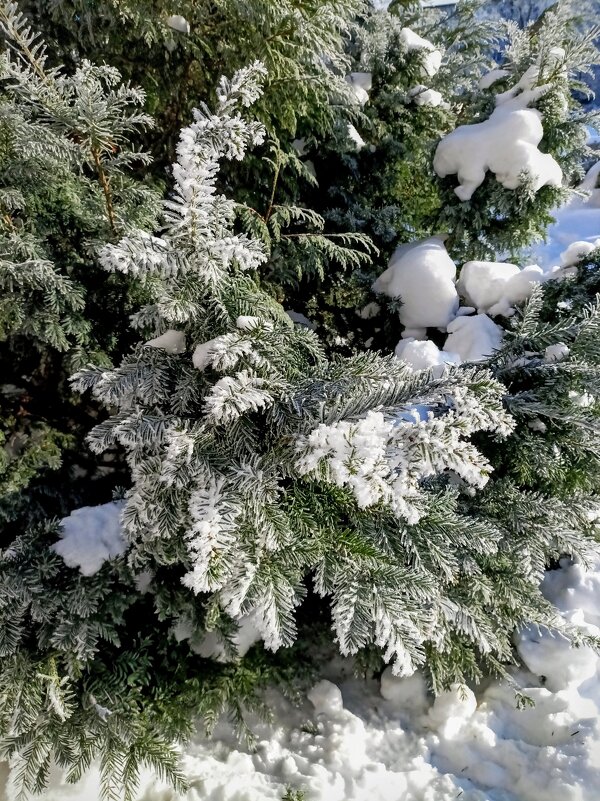 В парке Тондилоо - Veera V