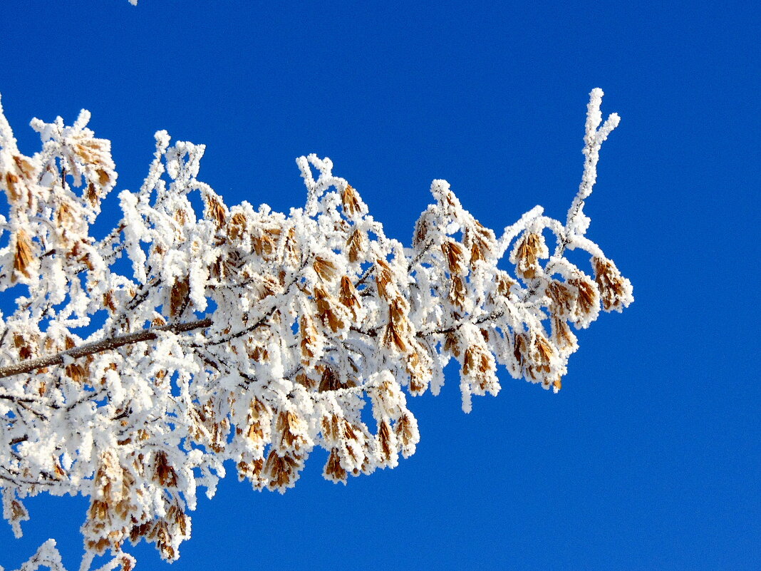 Под небом голубым. - nadyasilyuk Вознюк