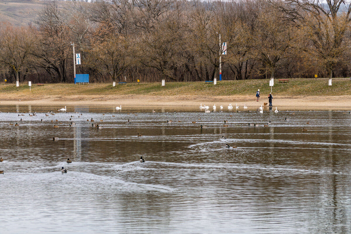 Городское водохранилище - Игорь Сикорский