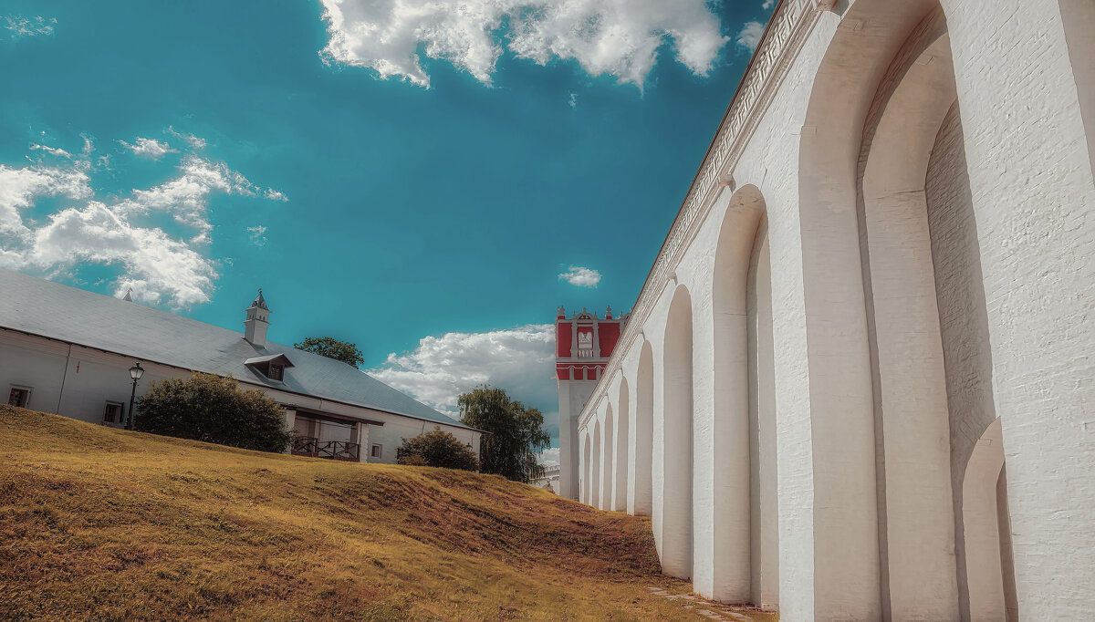 Новодевичий монастырь. - Владимир Владимир