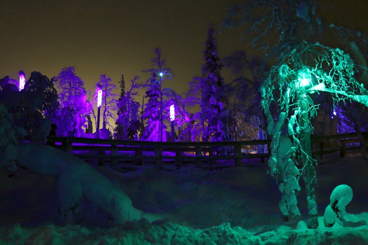 Таинственный лес - Ольга 