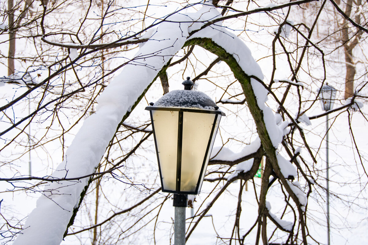 Фонарь. - Владимир А.Р. 