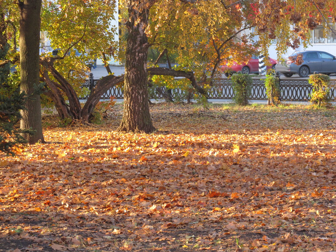 перед холодами - Елена Шаламова