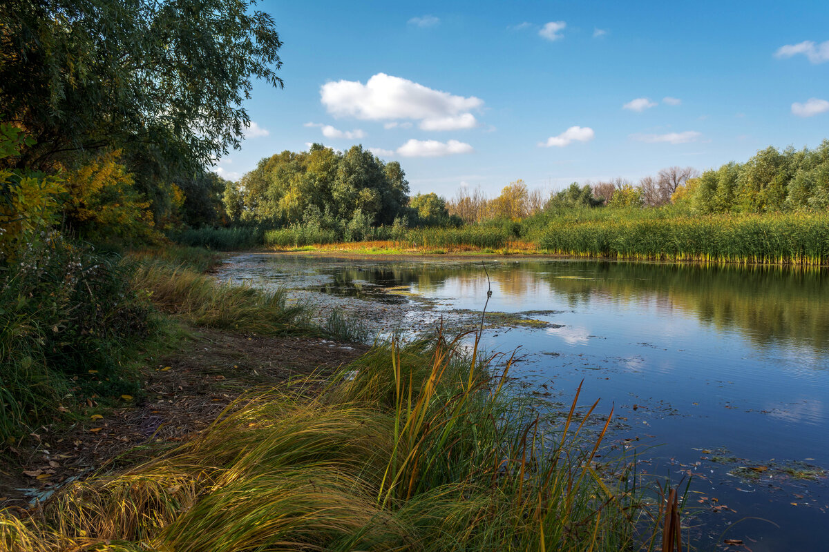 Ранняя осень - Владимир Жуков