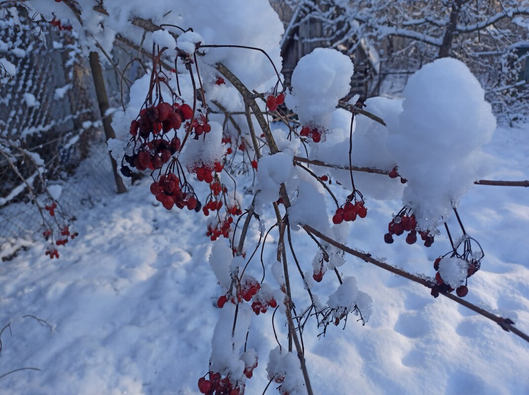 зимовка - Владимир Зырянов
