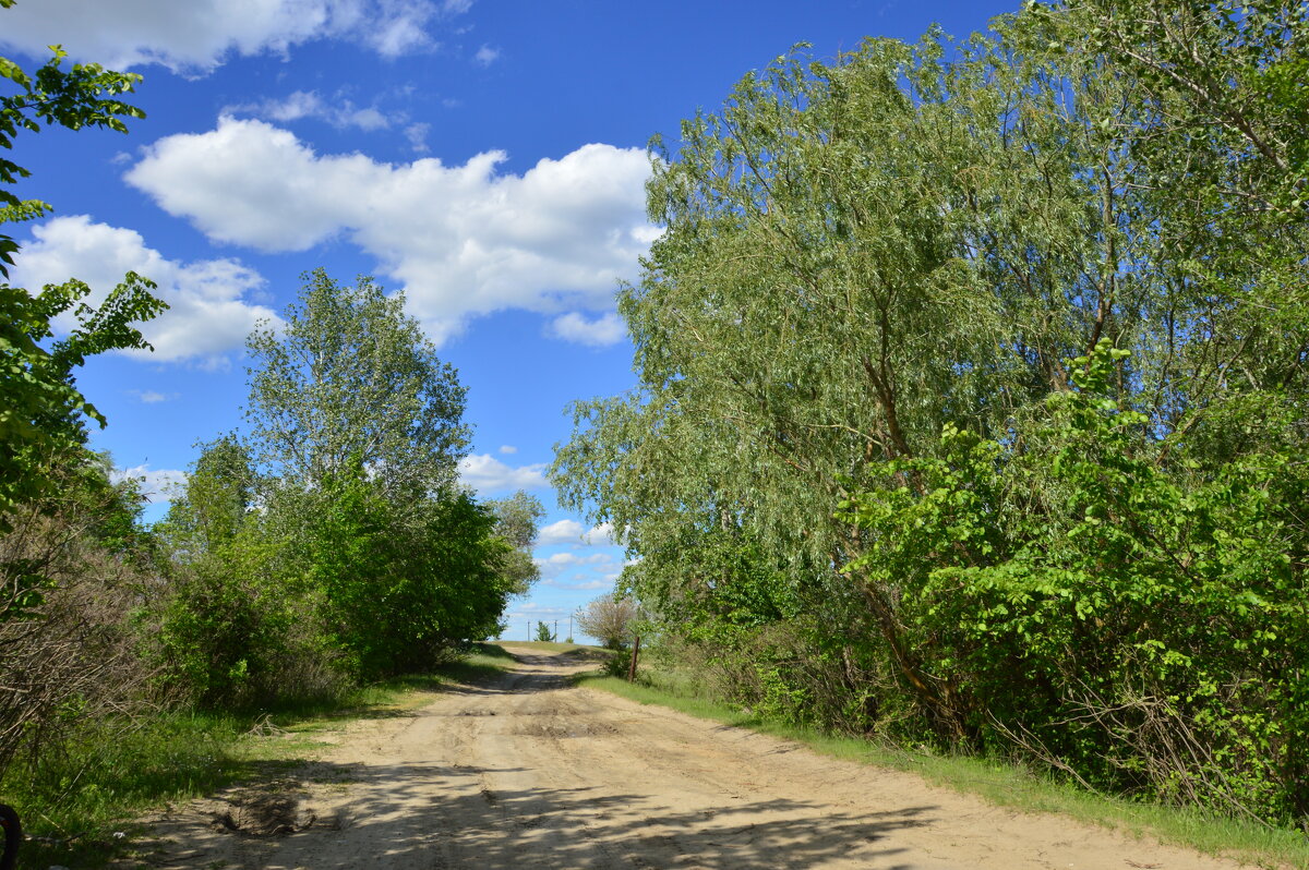 Донские виды. - Виктор 