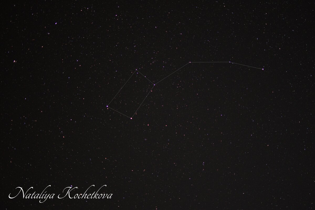 Природа Крыма - Amazing Cosmea