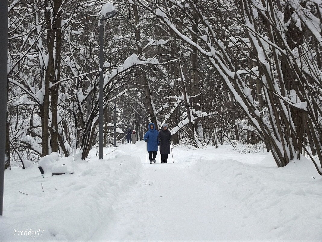 Физкультурницы - Freddy 97