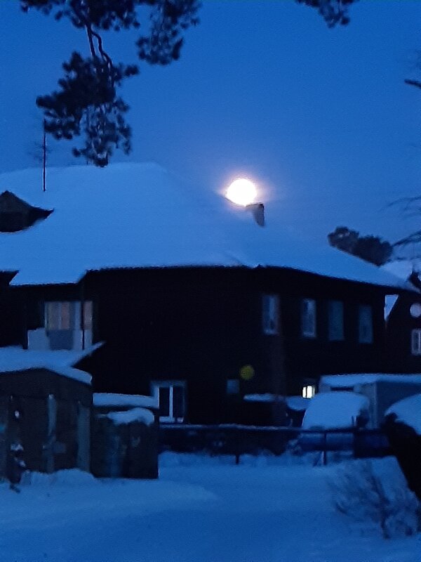 Лунные истории - Галина Минчук