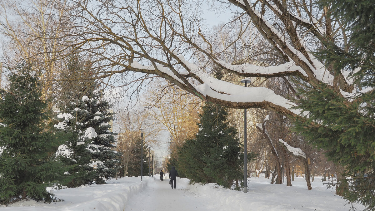 ***** - юрий поляков