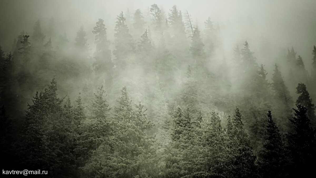 ТУМАН - HART BAD